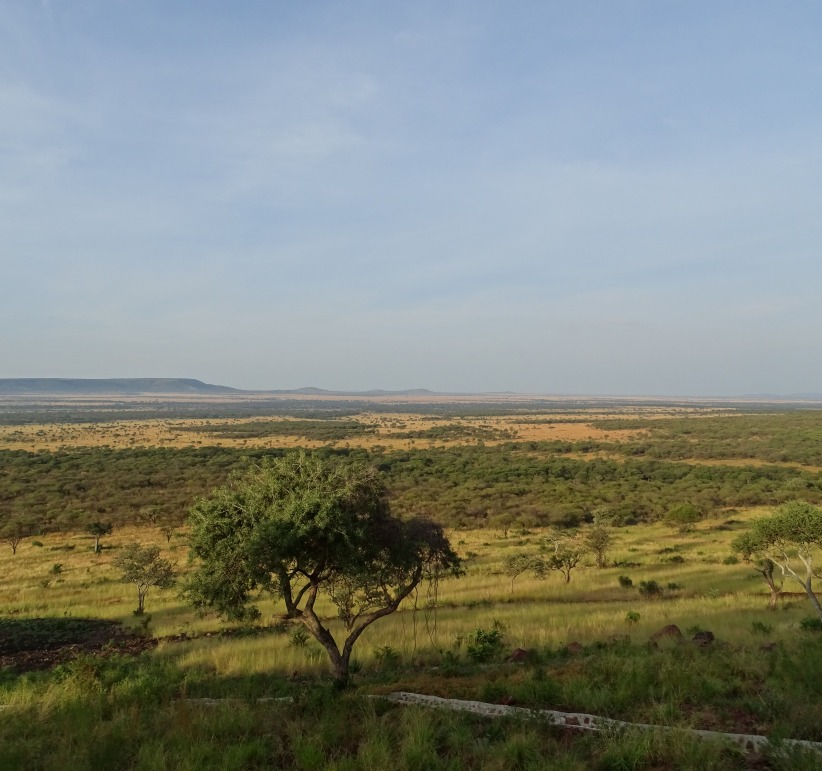 safari luxe Pemba Tanzanie