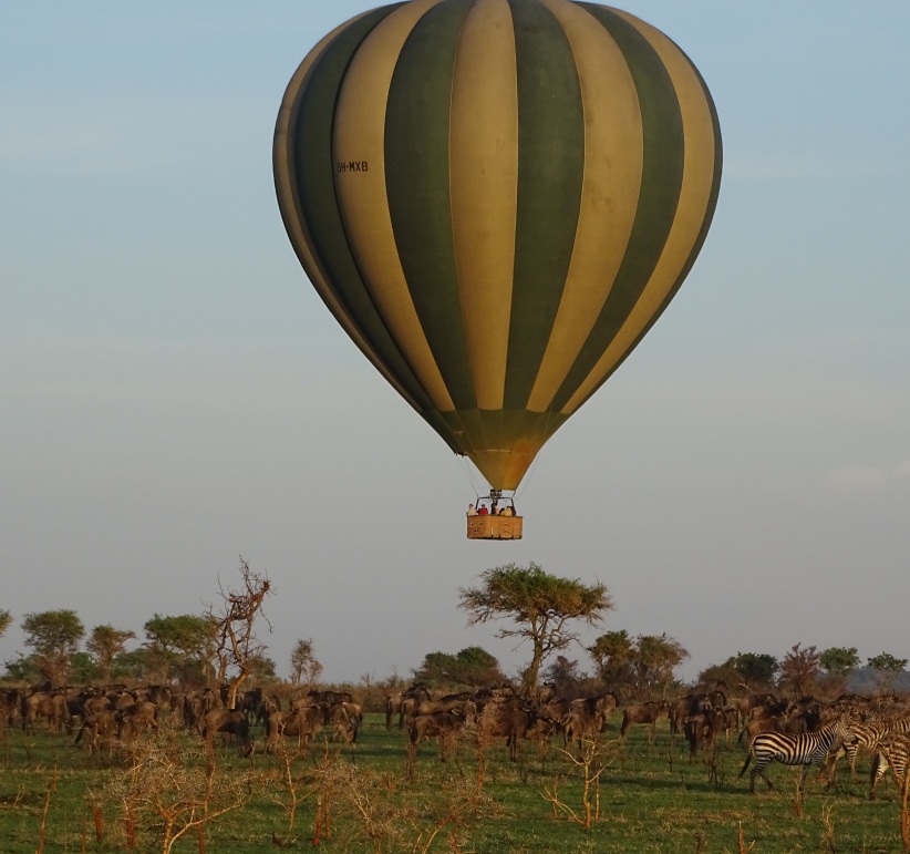 safaris vue ciel Tanzanie