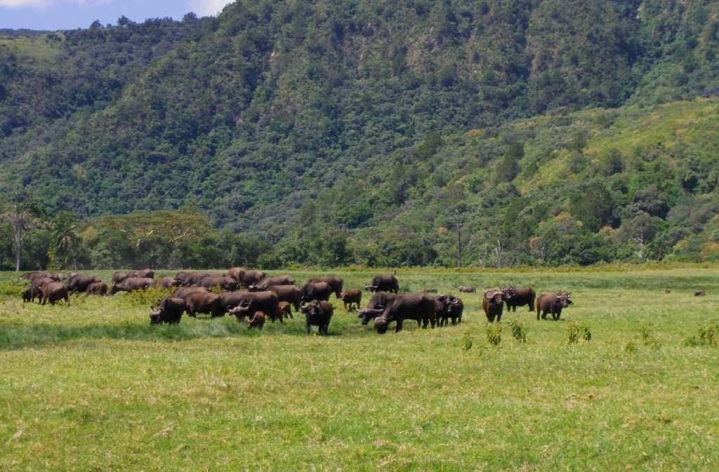 montagne-arusha