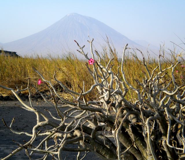 vues-lac-natron