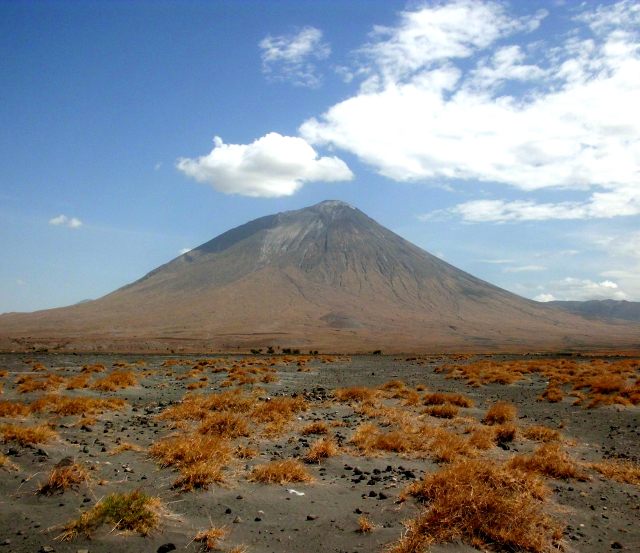 vegetations-lac-natron