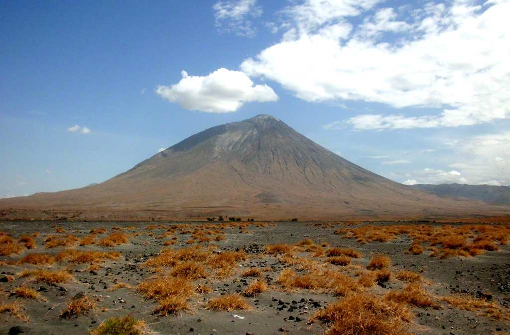 vegetation-tanzanie