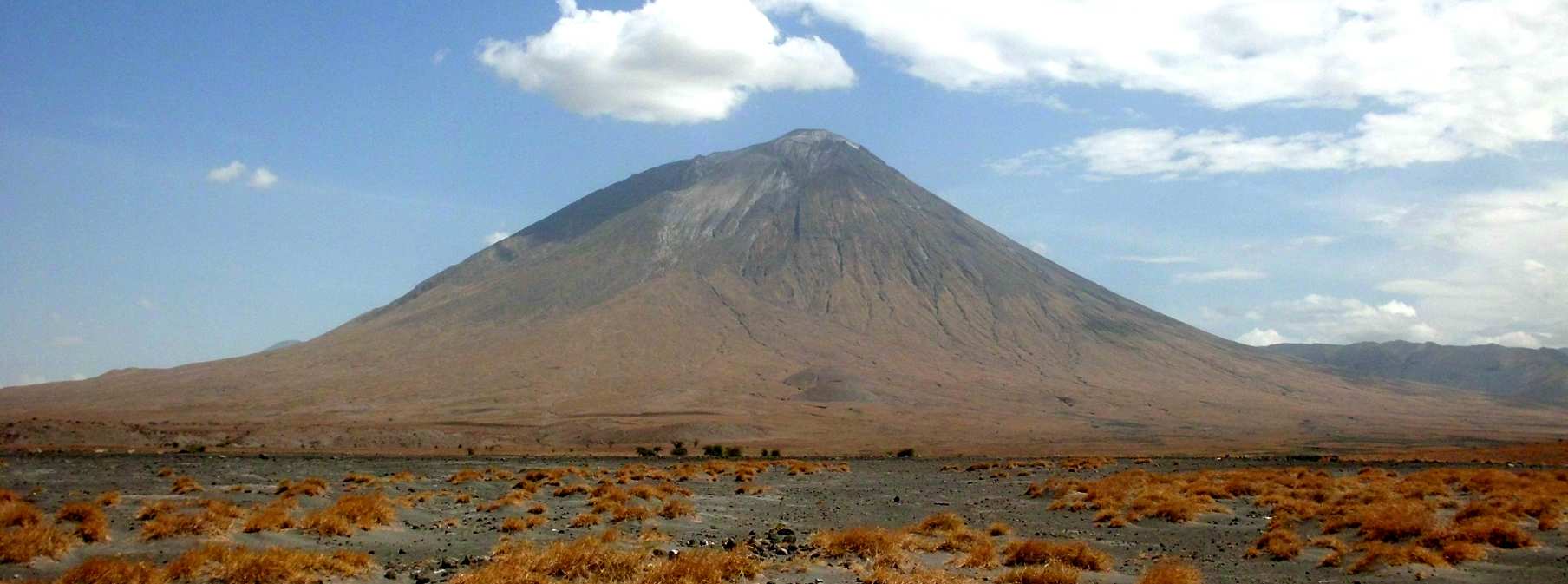 vegetation-lac-natron