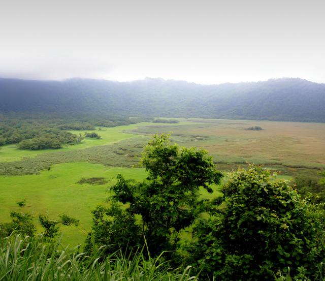 paysage-arusha