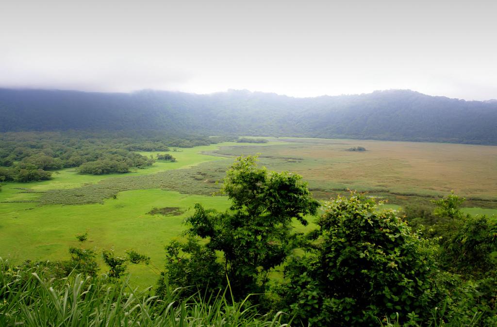 paysage-arusha