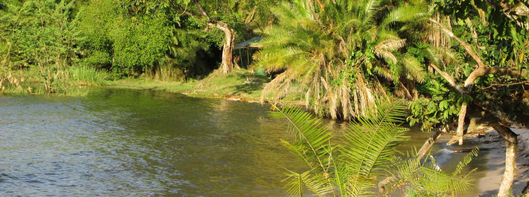 plage-rubondo